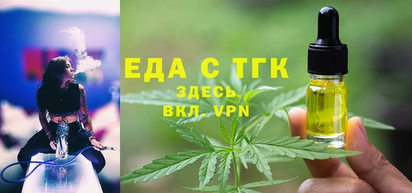 хмурый Алексин