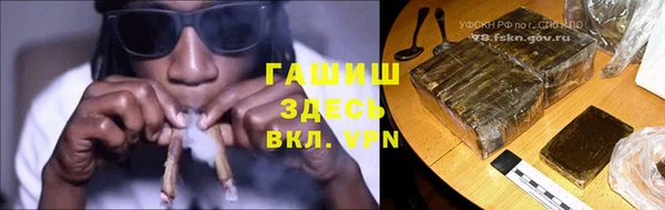 хмурый Алексин