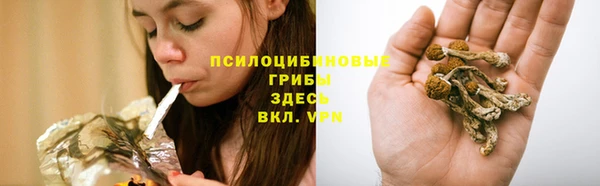 хмурый Алексин
