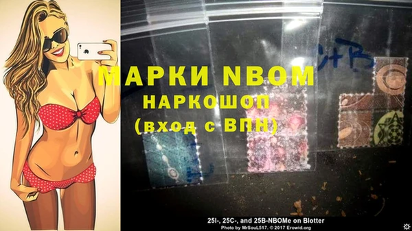 хмурый Алексин
