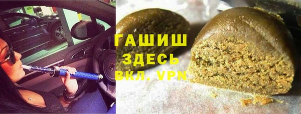 хмурый Алексин