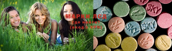 хмурый Алексин